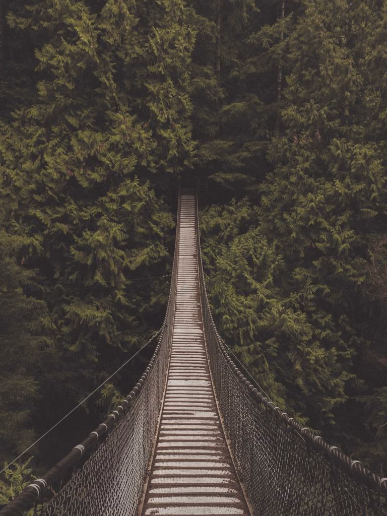 lynn canyon suspension bridge